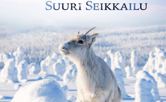 Affiche du film "Aïlo : une odyssée en Laponie"