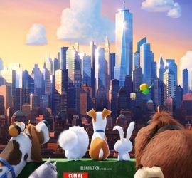 Affiche du film "Comme des bêtes"