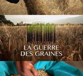 Affiche du film "La Guerre des Graines"