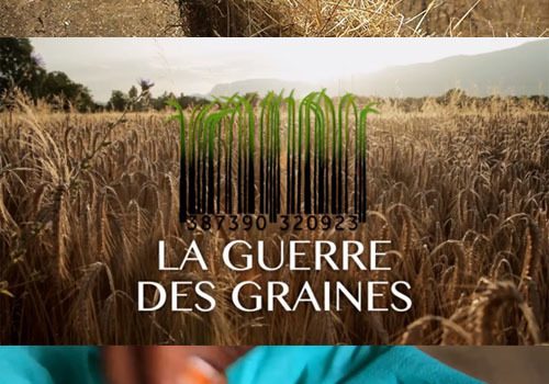 Affiche du film "La Guerre des Graines"