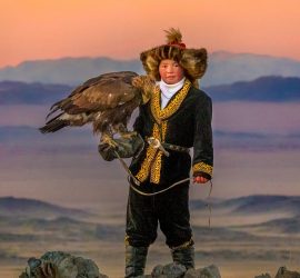 Affiche du film "La jeune fille et son aigle"