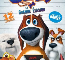 Affiche du film "Ozzy, la Grande Évasion"