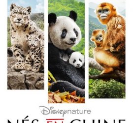 Affiche du film "Nés en Chine"