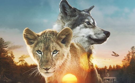 Affiche du film "Le loup et le lion"